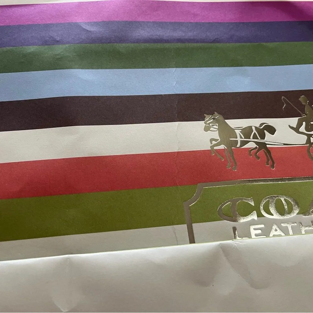 Coach Multicolor Striped XL Gift Box and Shopping Bag B - Picture 8 of 15